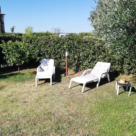 L'Aia Degli Olivi Apartment Vada Exterior photo