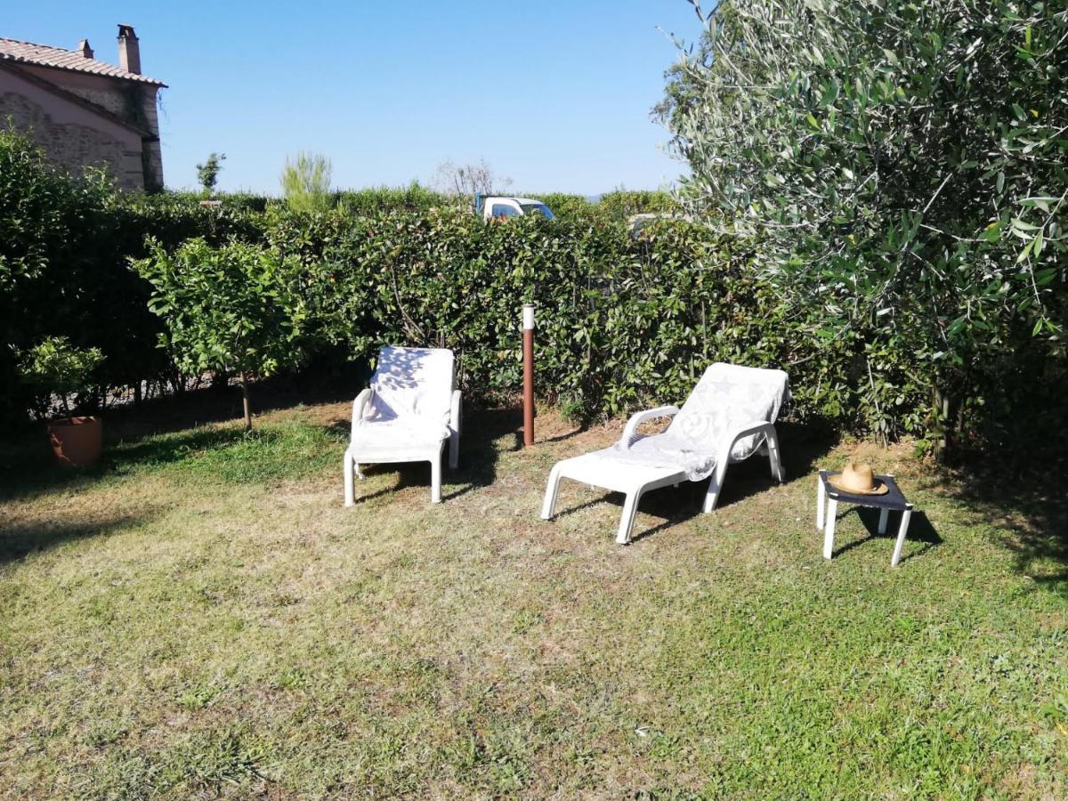 L'Aia Degli Olivi Apartment Vada Exterior photo