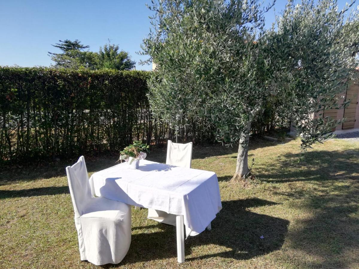L'Aia Degli Olivi Apartment Vada Exterior photo