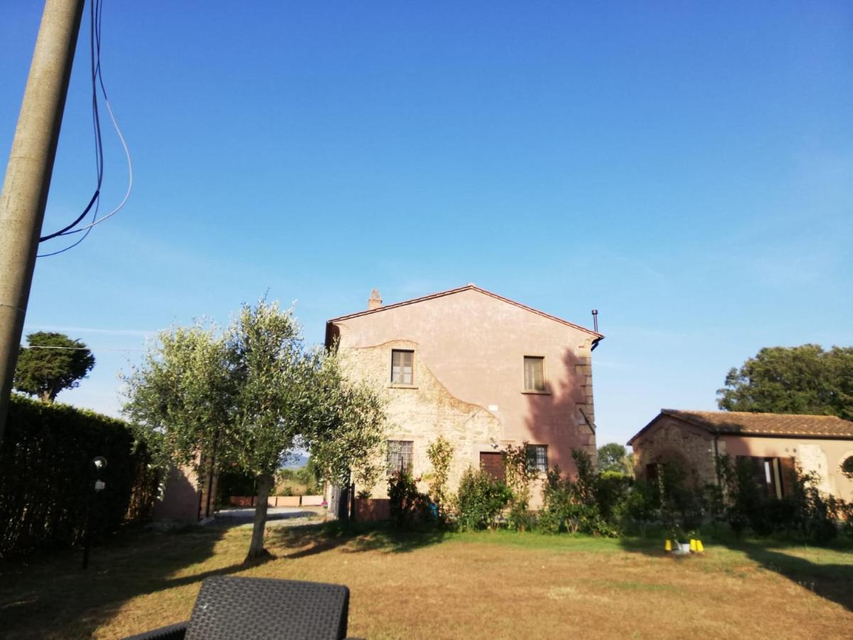 L'Aia Degli Olivi Apartment Vada Exterior photo